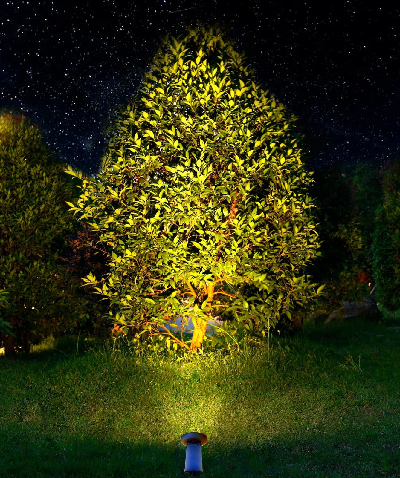 Garden spotlight from the Landscape & Outdoor Lighting collection